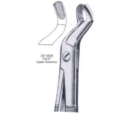 Extracting Forceps